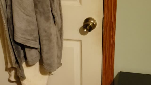 Doberman is so smart 🤓