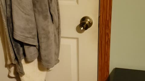 Doberman is so smart 🤓