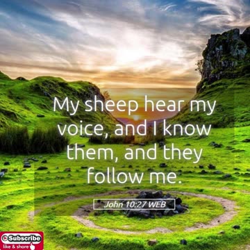 Morning Prayer to follow Jesus #youtubeshorts #grace #jesus #mercy #faith #fyp #blessed #trust #love