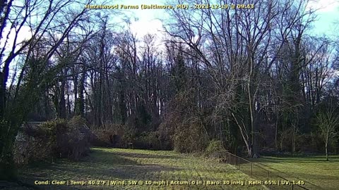 Weather Cam (Dec 13-19, 2023)