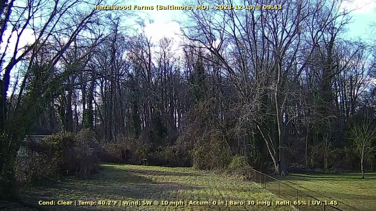 Weather Cam (Dec 13-19, 2023)