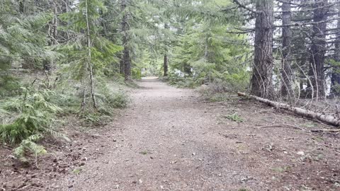 Approach to Pine View Campground – Timothy Lake Loop – Mount Hood – Oregon – 4K