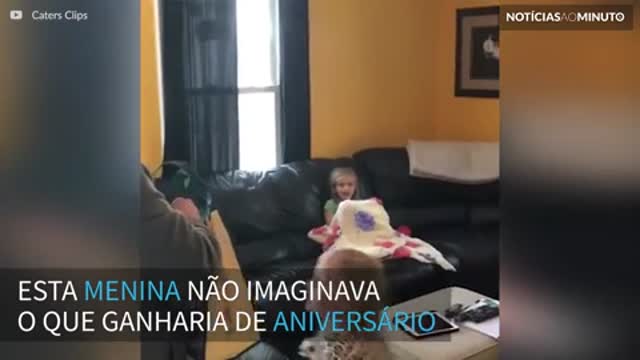 Menina se emociona ao ganhar gatinho em seu aniversário