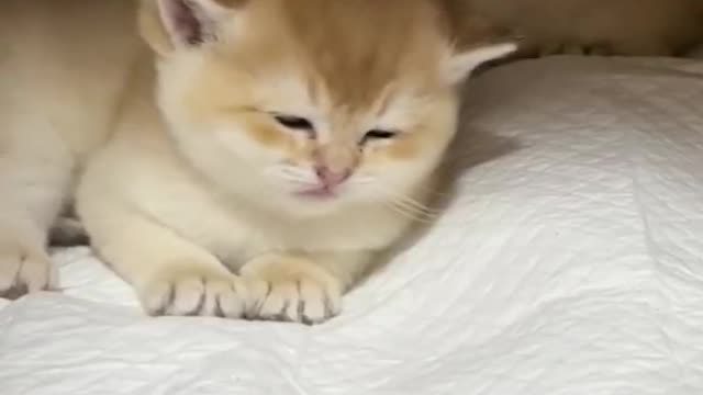 Give you a warm home
