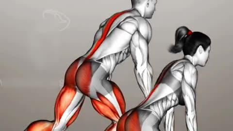 Legs workout routine