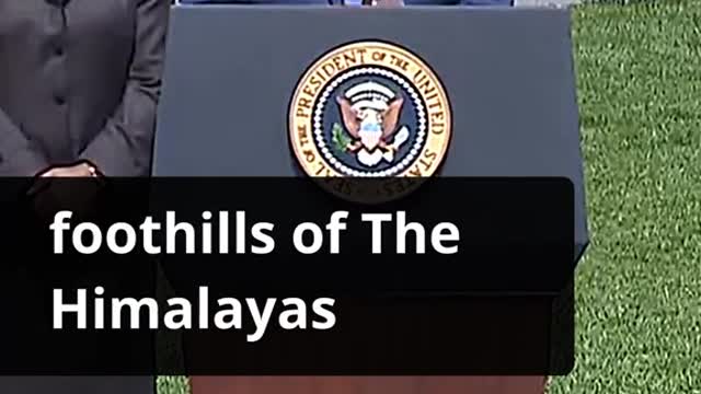 #thewhitehouse #funny