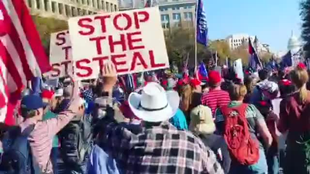 MAGA D.C Stop The Steal March