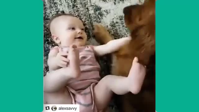 Cuties Baby Playing With Dogs