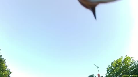 Night Sky Watch #27 - 18-19/5/2024