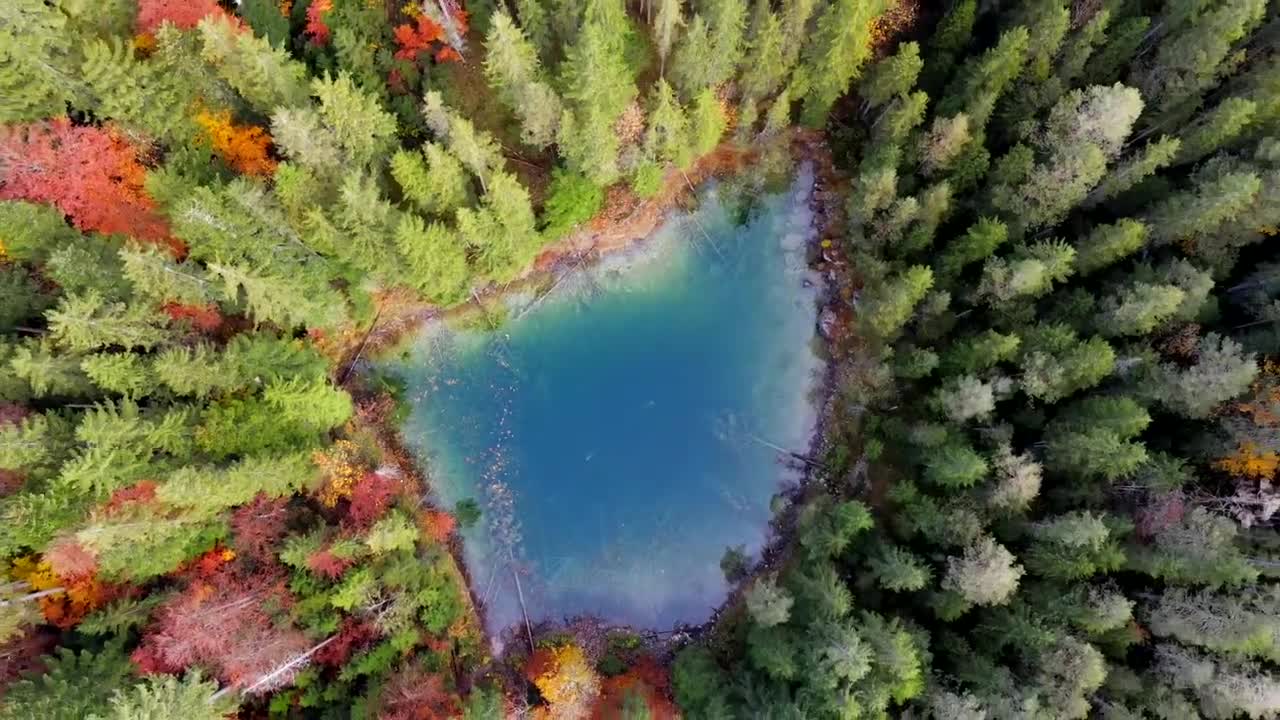 Amazing world...by a bird eye