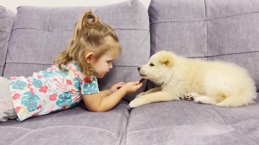 Cute_Baby_Feeds_Her_Best_Friend-Puppy