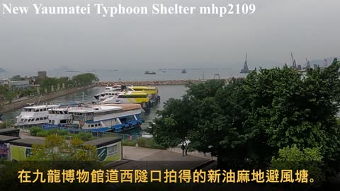 新油麻地避風塘 2022 New Yaumatei Typhoon Shelter, mhp2109, mar2022 #油麻地避風塘 #博物館道 #新油麻地避風塘