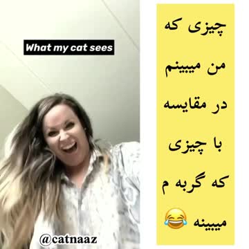 What we see is comparable to what a cat sees