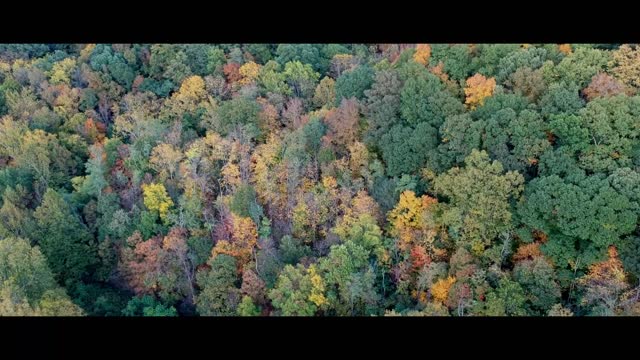 Smoke Hole - Fall 2017