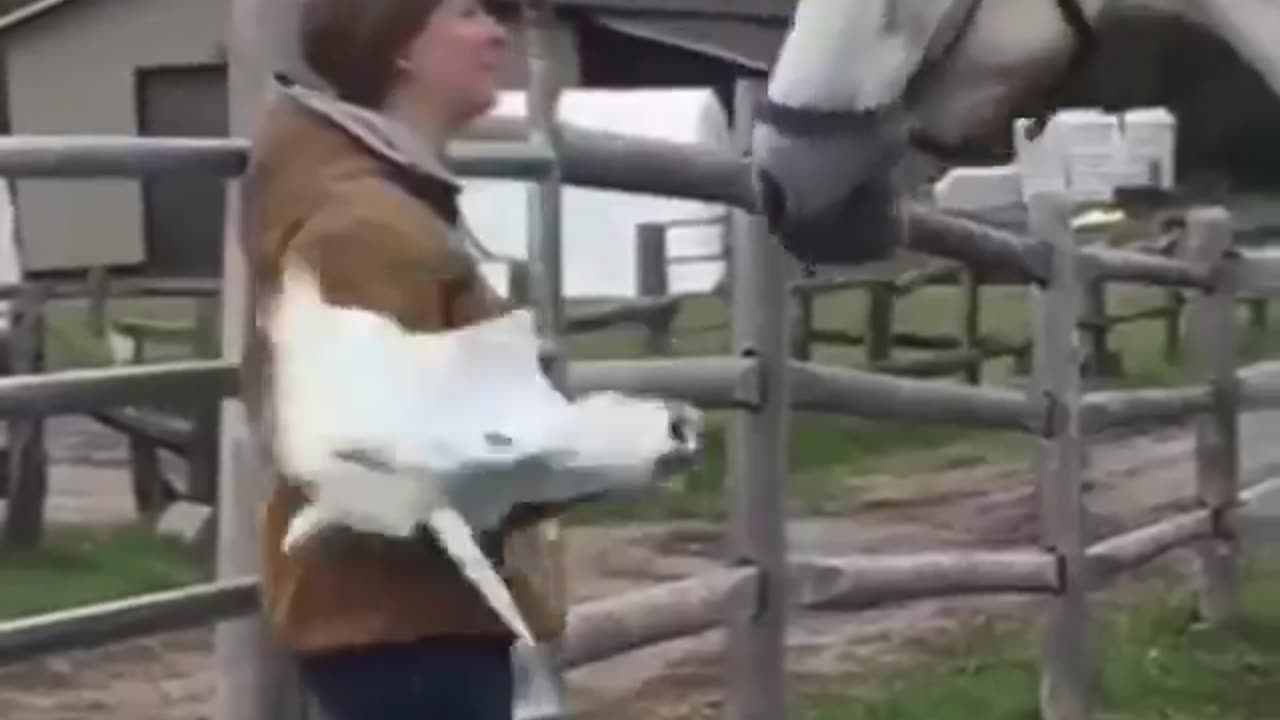 What is this? Cheating with me #shorts #shortvideo #video #virals #videovira