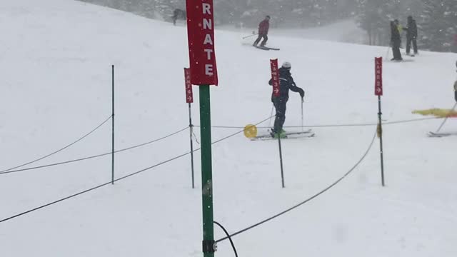 Moose Moves Quickly Through Thick Snow