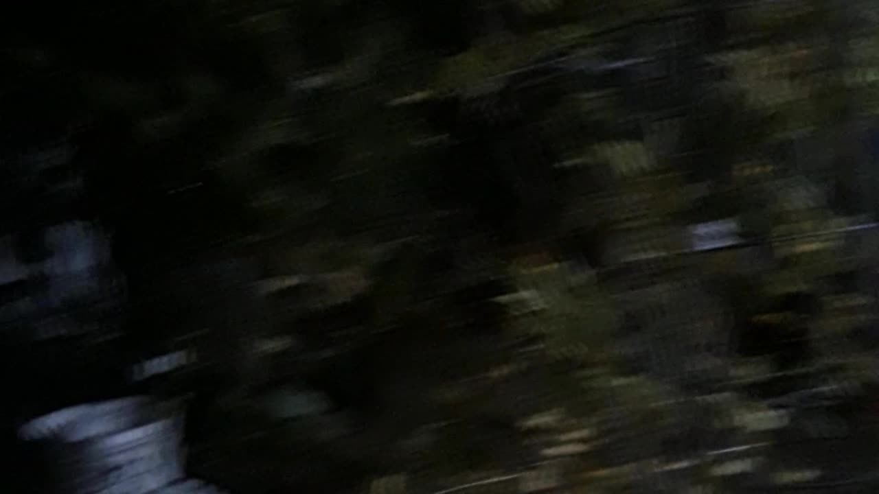 Falling mulch Part 1