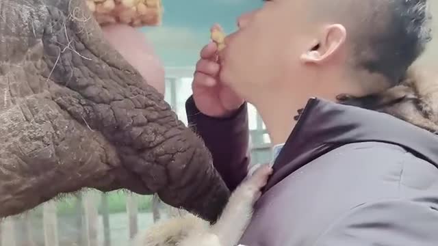 Breeders share delicious food with animals