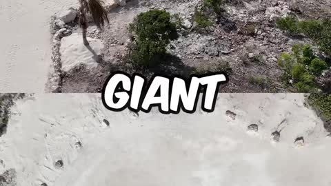 Mr beast 100,000,000 subscriber Special