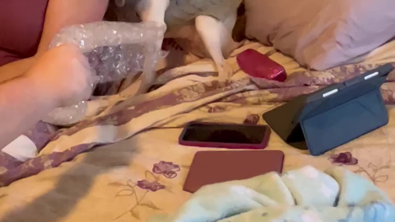 Princess meets bubble wrap