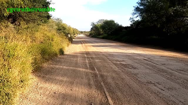 Border Lands : Penitas / La Joya