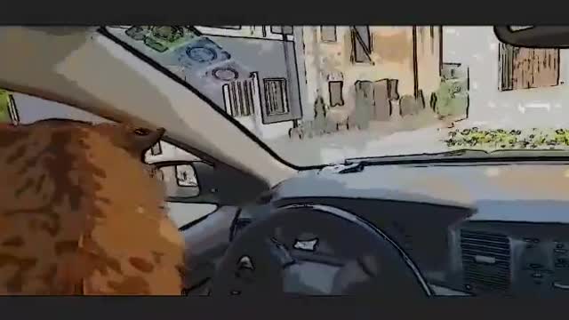 La La dog driver 🚘