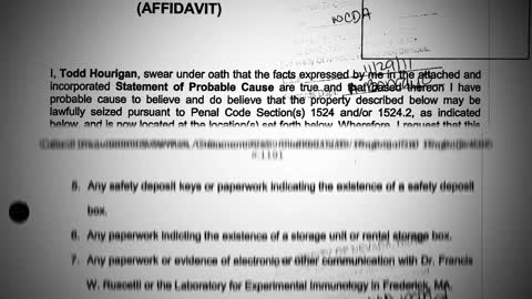 Plandemic 2 Documentary (Mirror)