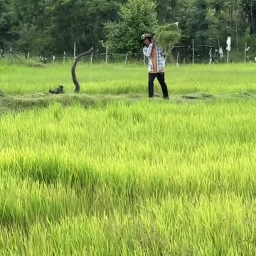 After Farming Relaxing