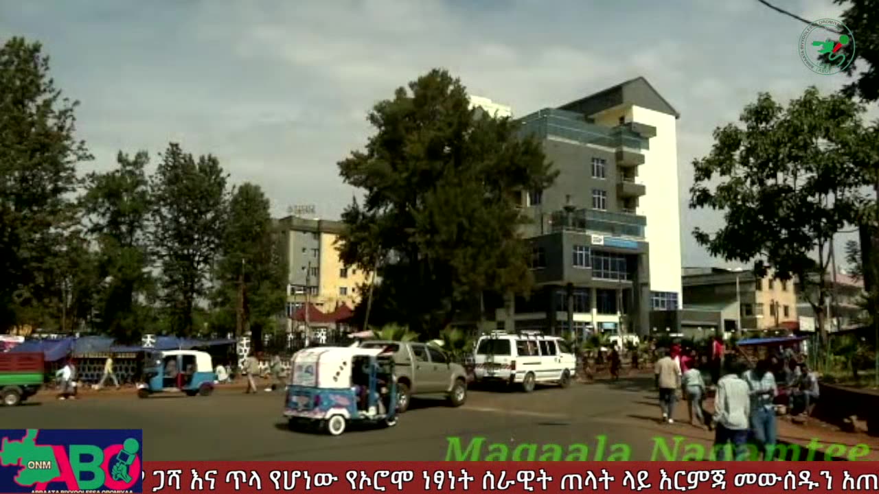 ONM-ABO ግንቦት 26-2024 ዓ.ም ሳምንታዊ የኦሮሞ ነፃነት ሠራዊት ዉሎ ።