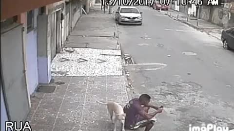 Funny video