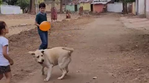 dog playing with balloon 🎈😍🎈🎈🎈#lakdikikathi #funnyvideos