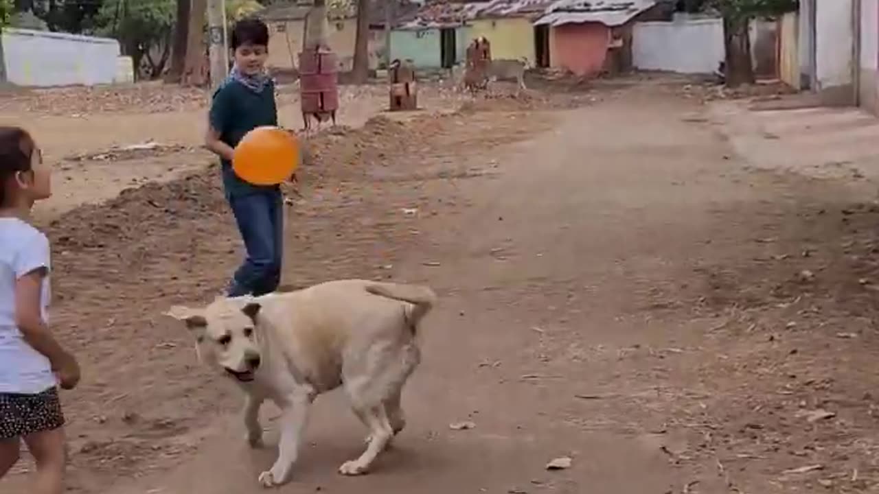 dog playing with balloon 🎈😍🎈🎈🎈#lakdikikathi #funnyvideos