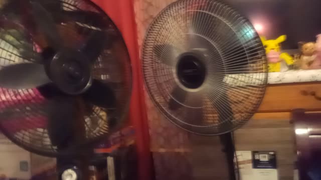 Lesko Fan Compare