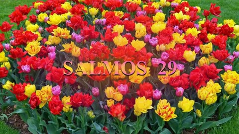 SALMOS 29,30,31- Reina-Valera 1960