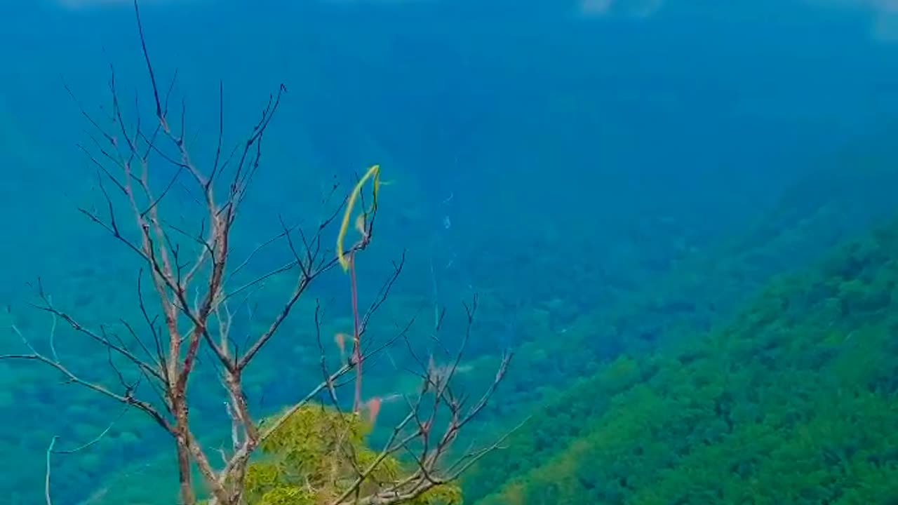 Natural Beauty of Wayanad, Kerala - Nadukani Estate