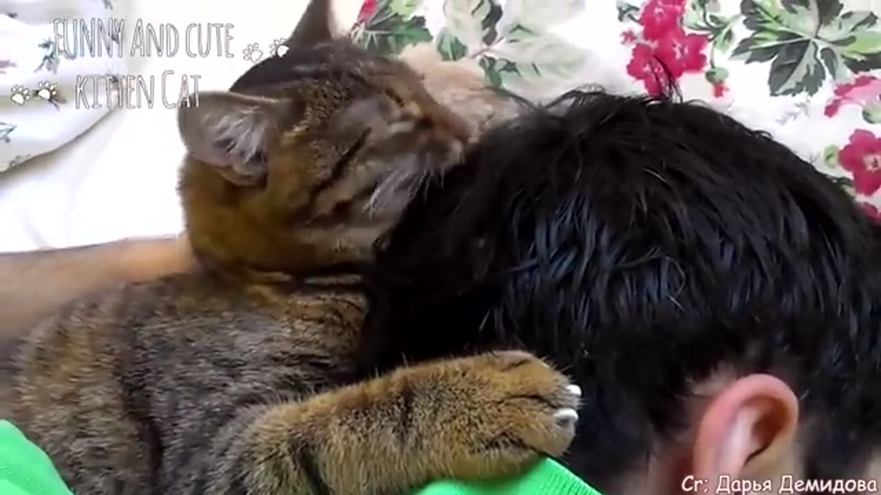 Have the love of a cat is to have the world - Cute ways cats show their love for owner