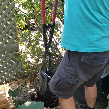 Removing Old Fence