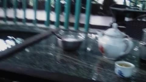 beautiful aquarium