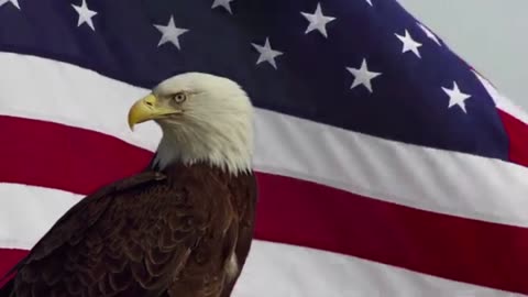 American MAGA