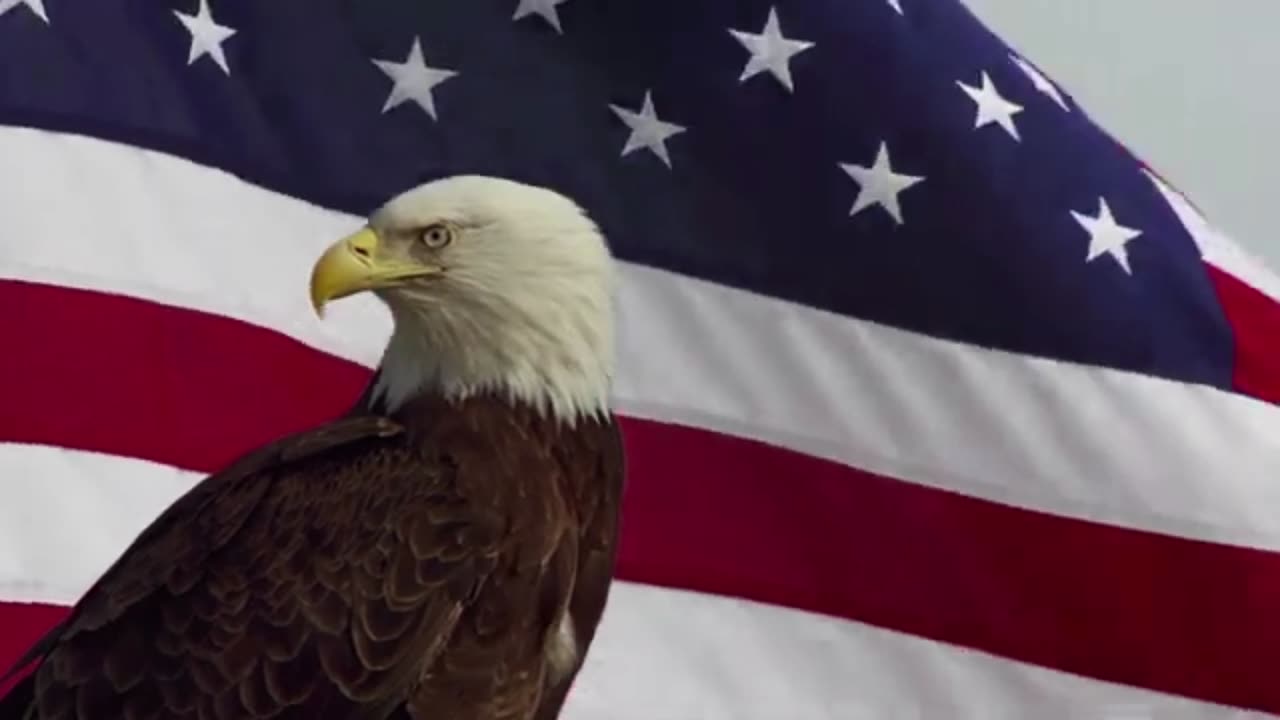 American MAGA
