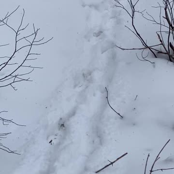 Upward. Slowly. Safely.