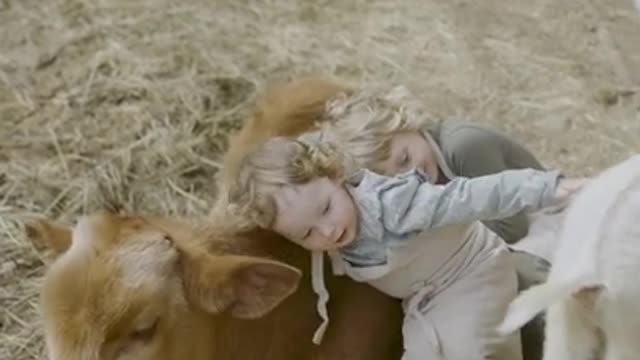 Little Girls Hugging a Cattle