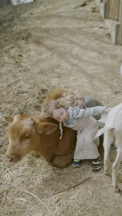 Little Girls Hugging a Cattle