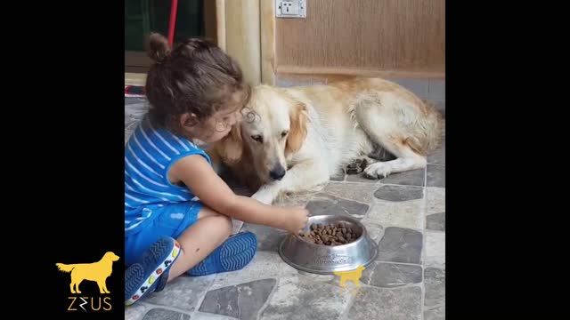 unconditional love / amor incondicional