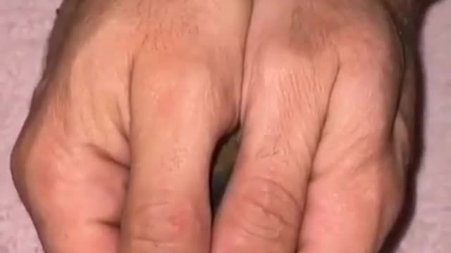 So small cat hidden in hands