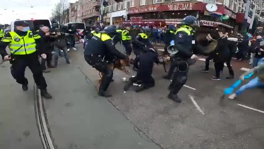 Amsterdam - Police send their dogs to attack protesters fighting against tyranny & covid mandates