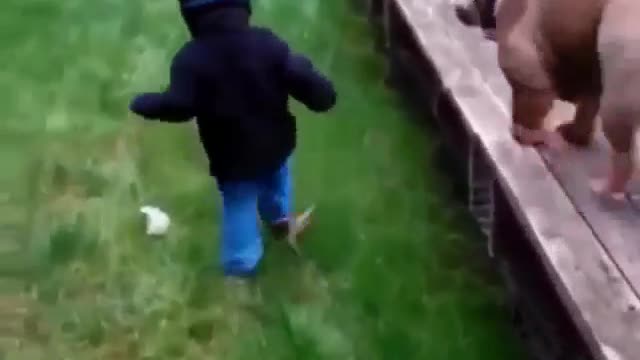 Excited Dog🐕 Jumps on kid & brings him down🤣🤣: PLEASE WATCH