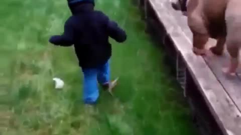 Excited Dog🐕 Jumps on kid & brings him down🤣🤣: PLEASE WATCH