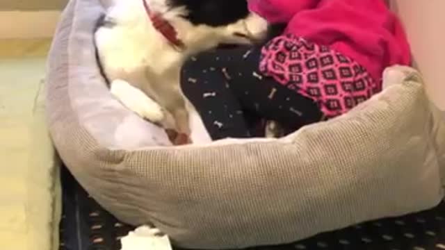 Little girl sweetly sings to her doggy