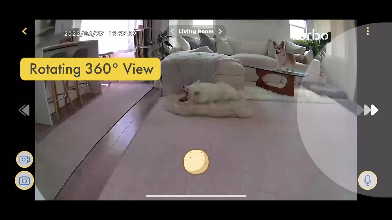 Furbo 360° Treat Tossing Dog Camera